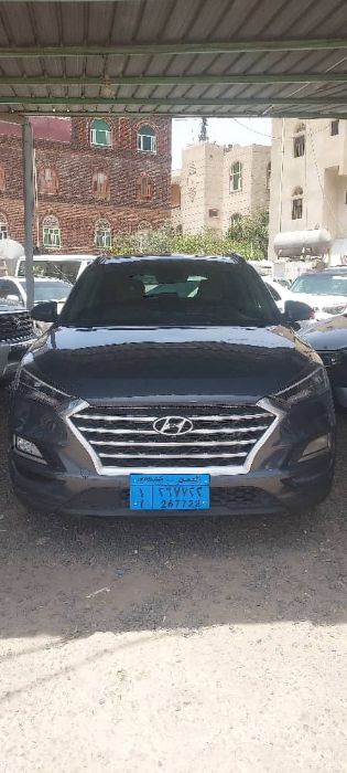 هواداي توسان أمريكي