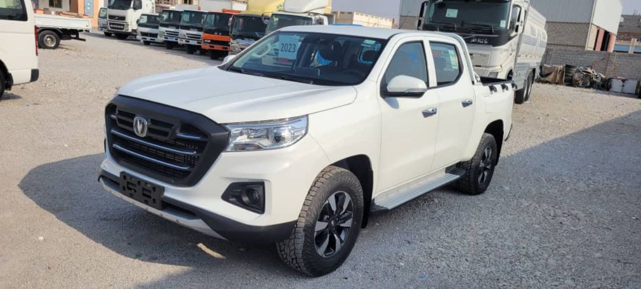 شانجان صيني