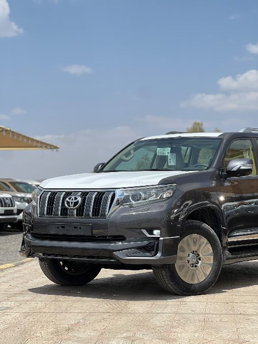 برادو