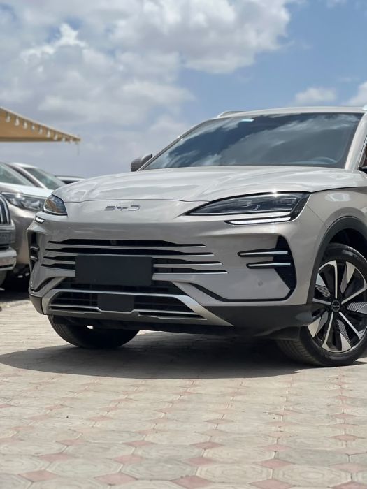 BYD2025.