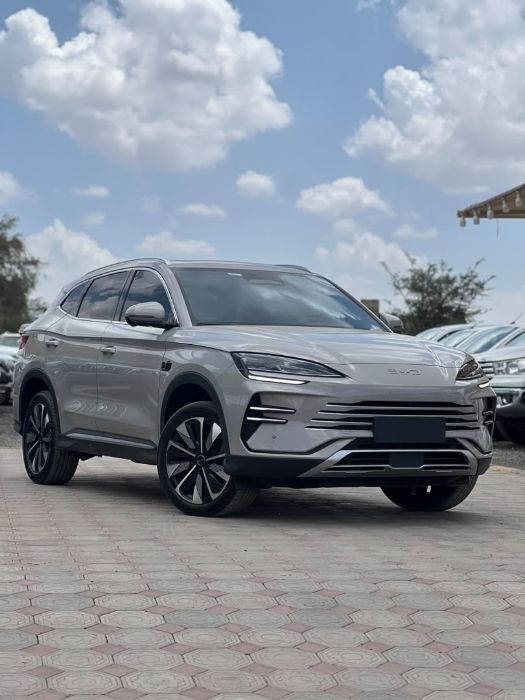 BYD2025.