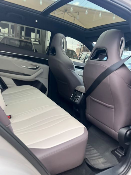 BYD2025.