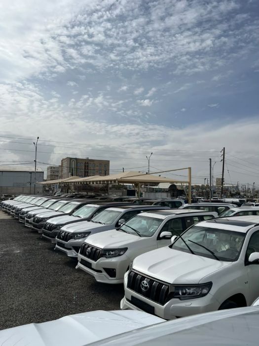 برادو هات جميع المديلات