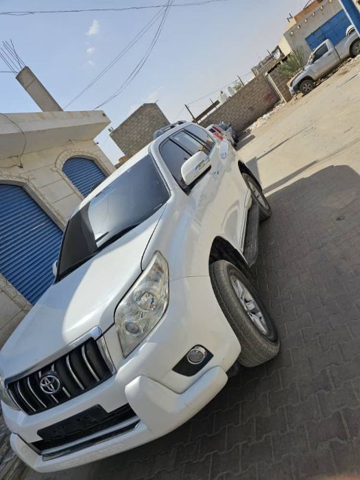 برادو